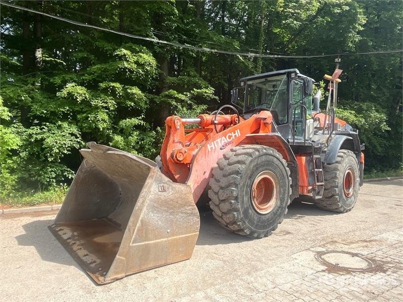 Hitachi ZW310