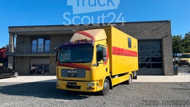 Viehtransporter LKW MAN TGL 10.180 Euro 4  Pferdetransporter Horse gebraucht