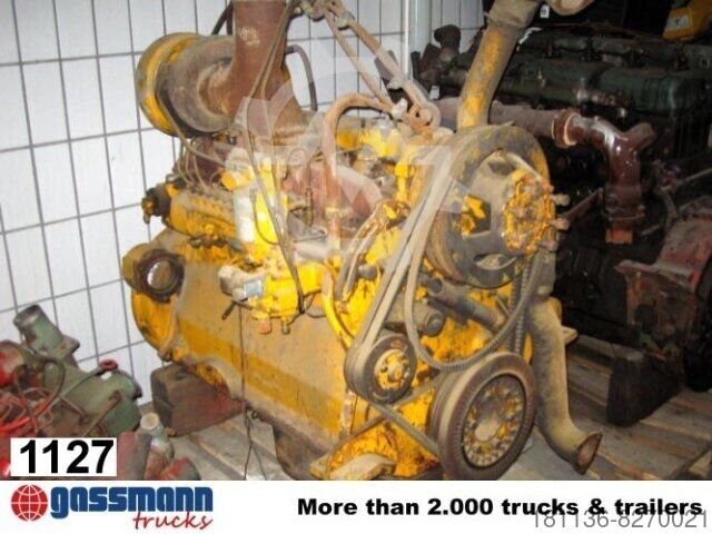 Cat Motor -