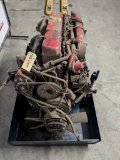 MAND0826GF / D 0826 GF LKW Motor