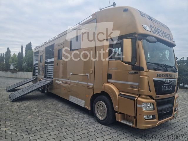 Viehtransporter LKW MAN TGS 26.480 5-Pferde Wohnabteil JL 4 Rampen gebraucht