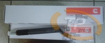Cummins3802648 injector