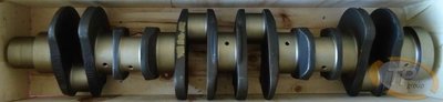 Cummins3910968 Kurbelwelle C8,3