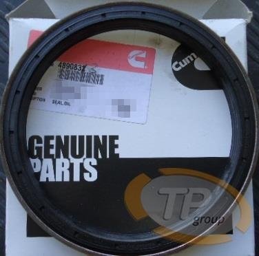 Cummins4890833 oil seal