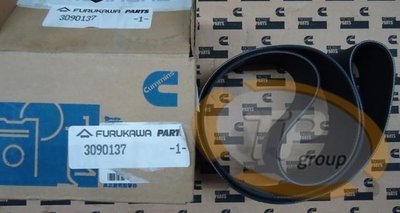 Cummins3090137 Pas, V Ribbed