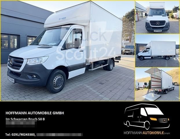 Transporter with suitcase MERCEDES-BENZ Sprinter 319 CDI Furniture case Loader wall car used