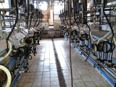 DeLaval Fmg30 Melkstand