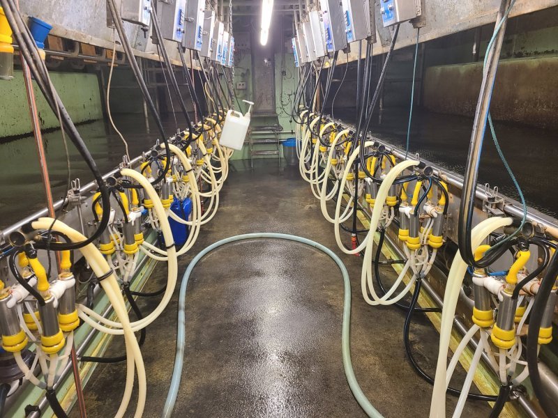 Boumatic Melkstand Melkstand