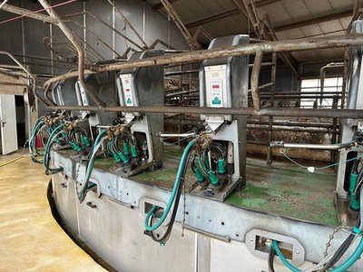 GEA Farm Technologies Performer Karussell Sonstige Melktechnik & Kühltechnik