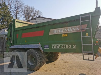 Bergmann TSW 4190 S стабільності