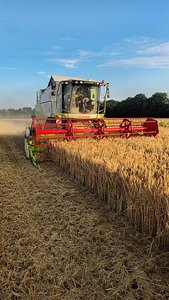 Claas Tucano 430