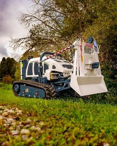Hymach Funkraupe Mulchraupe Mähraupe Forstraupe