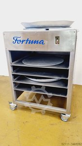 Fortuna DT