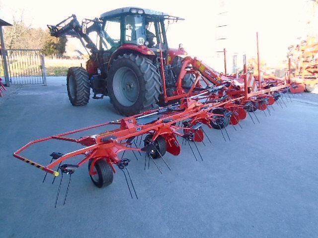 Cows GF 8703