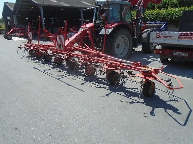 Cows GF 8702