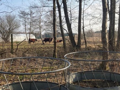 Другой Høhække til får - 2 stk. Установка