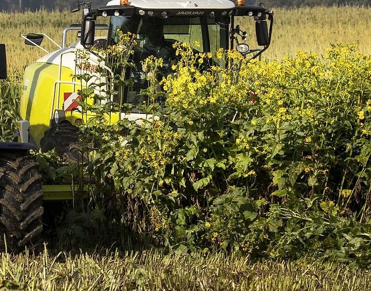 Claas Idass Easy WaY50 Pickup 5m hlpb Silphie / для Claas