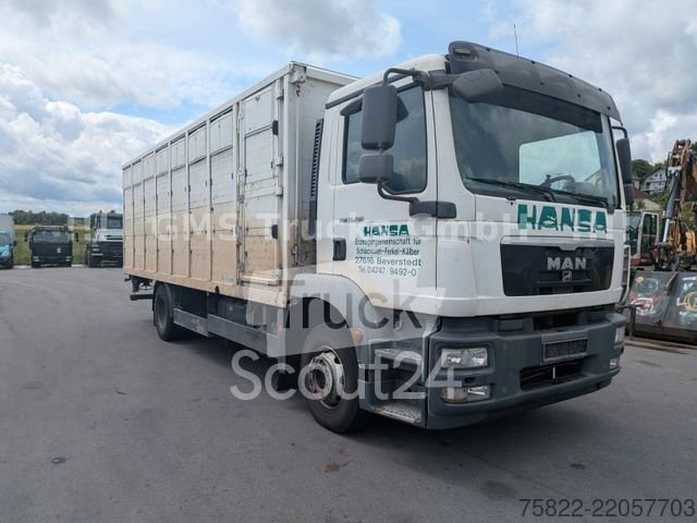 Скотобойня MAN TGM 15.290 / Menke / груз 7750 кг / E5 используется