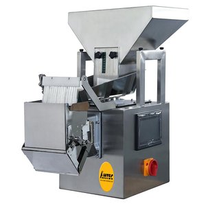 Linear Weigher AMTEC LNW 1HD 45-SD