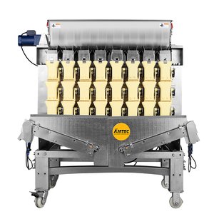 Combination Weigher AMTEC CBW 8HD 05-Spiral