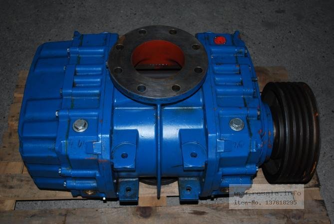 Rotary piston AERZENER GMB 14.8