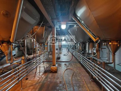 Brewery SPR UK 100hl