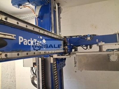 Packer PACKTEC palletizing