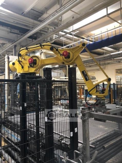 Palletizer PROCOMAC / FANUC diverse