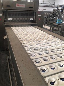Stone catchers CTI FOODTECH 320 APA