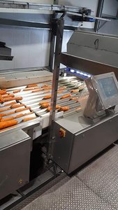 Universal machines NEWTEC CELOX optical sorting machine