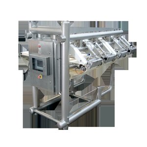 Fish processing machines WMT