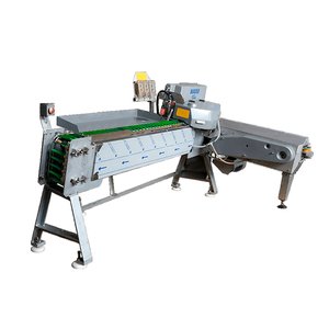 Fish processing machines BAADER (FILLETING MACHINE) 134