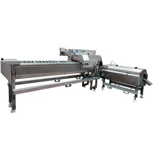 Fish processing machines BAADER (FILLETING MACHINE) Baader 35