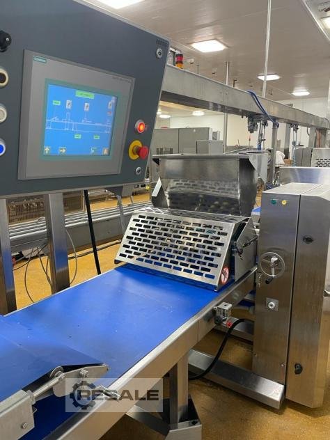 Production lines RADEMAKER / RONDO Salmon en croute line