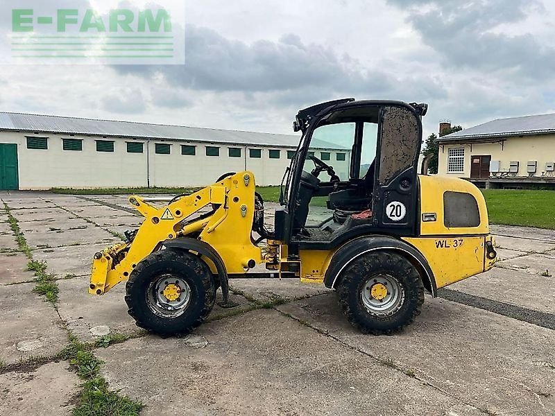 Weidemann wacker wl37