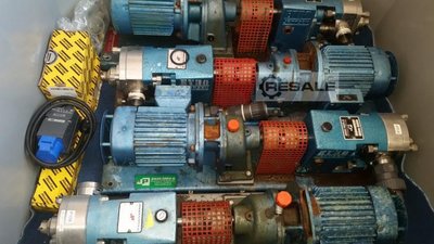 Pumps JOHNSEN diverse