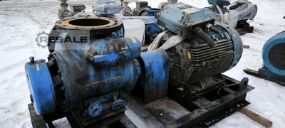 Pumps BORNEMANN HC 232-70