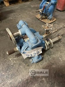 Pumps SANDPIPER S1F B1ABWABS600