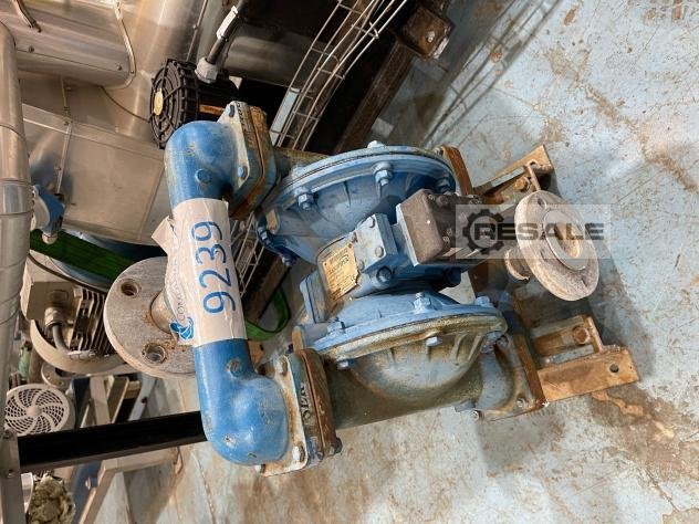 Pumps SANDPIPER S15 B1INWABS000