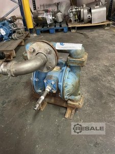 Pumps SANDPIPER B1INWABS000