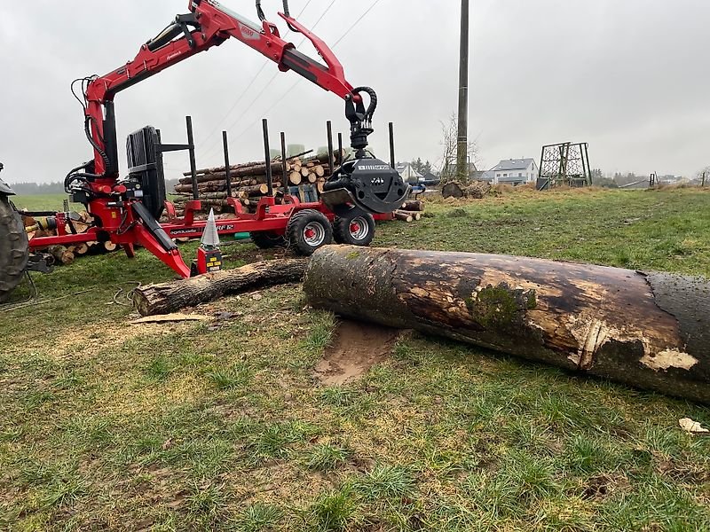 Kegelspalter Holzspalter Traktor 800 mit Konsole für Rückewagen
