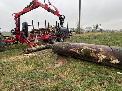Kegelspalter Holzspalter Traktor 800 mit Konsole für Rückewagen