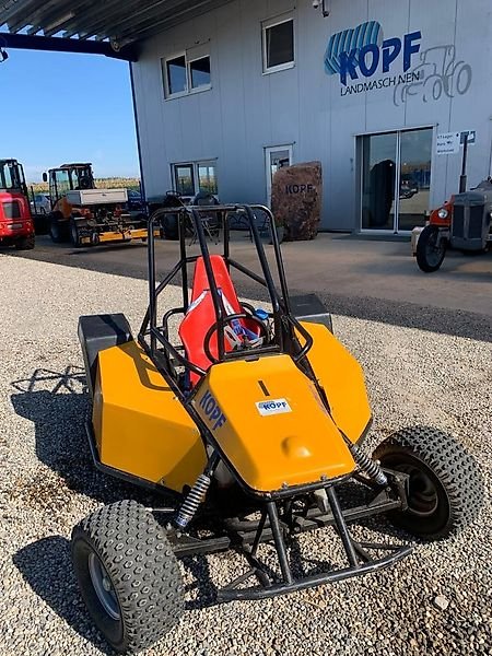 Kopf Elektro-Buggy 50 km/h, 48 V