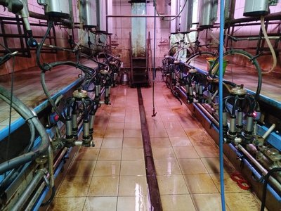 DeLaval Melkstand Melkstand