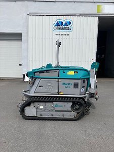 Pfanzelt Moritz FR 75 - 75 PS