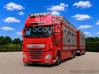 Viehtransporter LKW DAF XF 530 Super Space + Pezzaioli Livestock Trailer | Cattle Pigs gebraucht
