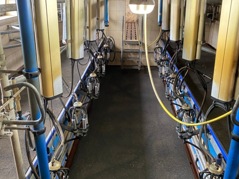 DeLaval Fischgräten Doppel 5 Melkanlage