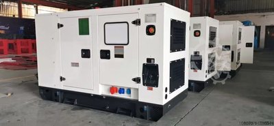 NewPower NWK66 Diesel Generator FAWDE MOTOR