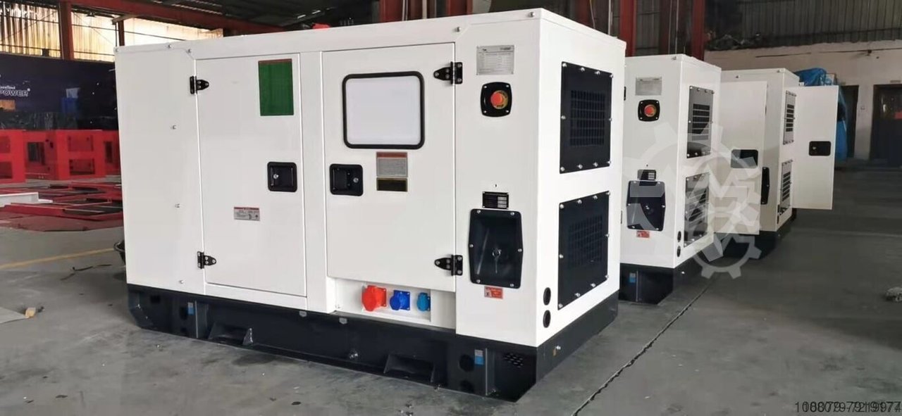 Newpower NWK66 Diesel Generator Fawde Motor