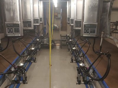 Alfa Laval FMG D-30 Melkstand Sonstige Melktechnik & Kühltechnik